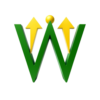 winowin consultoria